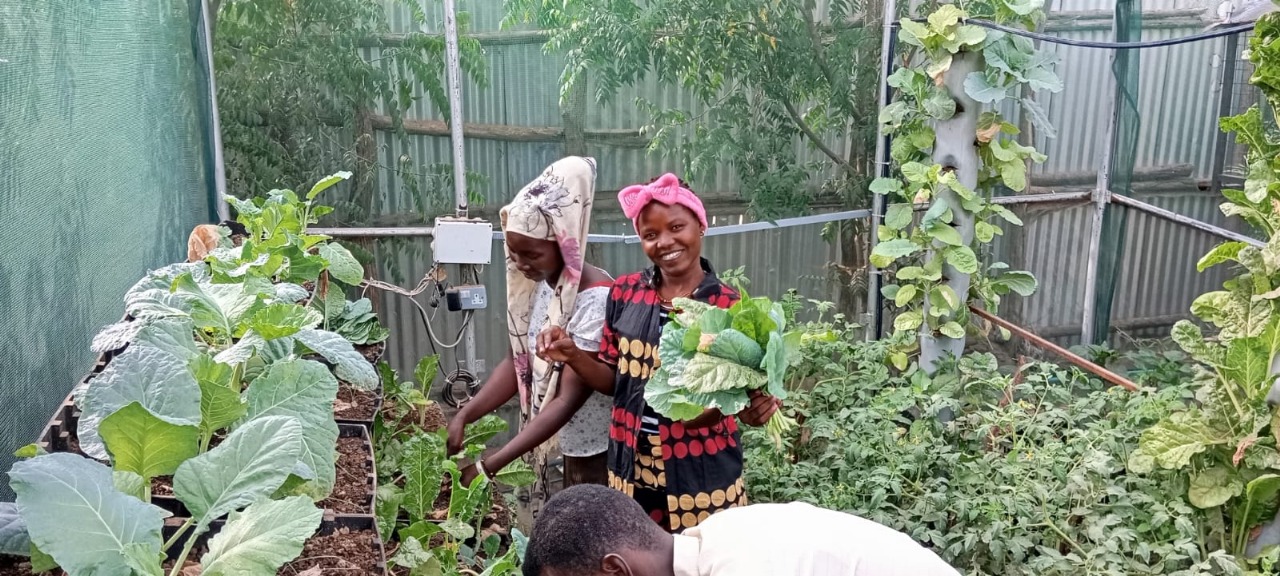 Hydroponics training